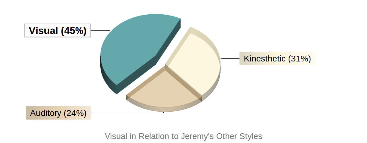 Learning Style Profile Graph Example Introduction to IT - My Profile